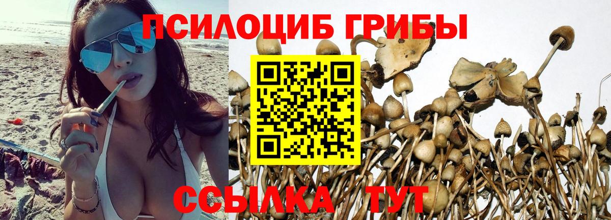 Галлюциногенные грибы мицелий Зима